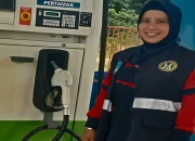 Disperindag Halsel Ungkap Penyebab Harga Cabai Naik-turun 