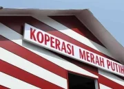 Viral Gaji Pengawas Koperasi Merah Putih Rp 15 Juta, Ini Faktanya!