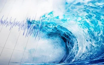 Halmahera Utara Masuk Wilayah Waspada Tsunami Usai Gempa M8,7 Guncang Rusia