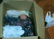 Bayi Laki-laki Ditemukan dalam Kardus di Teras Panti Asuhan Ternate, Dilengkapi Susu dan Uang Rp 200 Ribu