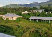 Kandisi bangunan ditumbuhi semak belukar