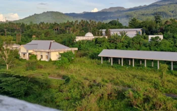 Kandisi bangunan ditumbuhi semak belukar
