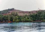 Tambang Nikel di Malut ini Beroperasi Tanpa RKAB, Laut Nyaris Berubah Kuning