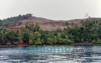 Tambang pulau gebe