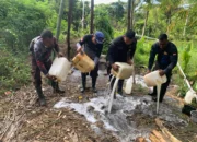 Tim Saber Miras Polres Halsel menggerebek tempat penyulingan cap tikus di Desa Wayamiga. Sebanyak 250 liter bahan baku saguer langsung dimusnahkan di lokasi.