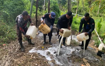 Tim Saber Miras Polres Halsel menggerebek tempat penyulingan cap tikus di Desa Wayamiga. Sebanyak 250 liter bahan baku saguer langsung dimusnahkan di lokasi.