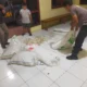 Penyelundupan 445 Kantong Cap Tikus Pakai Mobil Mewah Disergap Polisi di Bacan Timur