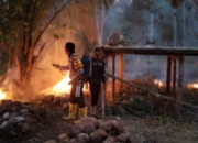 Kebakaran Lahan di Jalur Bosso-Dolik, Kapolsek Gane Barat Turun Tangan