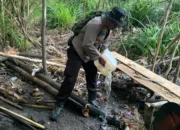 3 Lokasi Penyulingan Cap Tikus di Amasing Kali Digerebek, 170 Liter Saguer Dibuang
