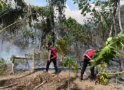 ​Lahan di Desa Hidayat Terbakar, Polisi Turunkan Mobil Water Cannon Padamkan Api