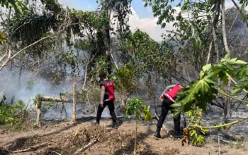 ​Lahan di Desa Hidayat Terbakar, Polisi Turunkan Mobil Water Cannon Padamkan Api
