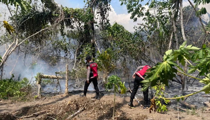 ​Lahan di Desa Hidayat Terbakar, Polisi Turunkan Mobil Water Cannon Padamkan Api